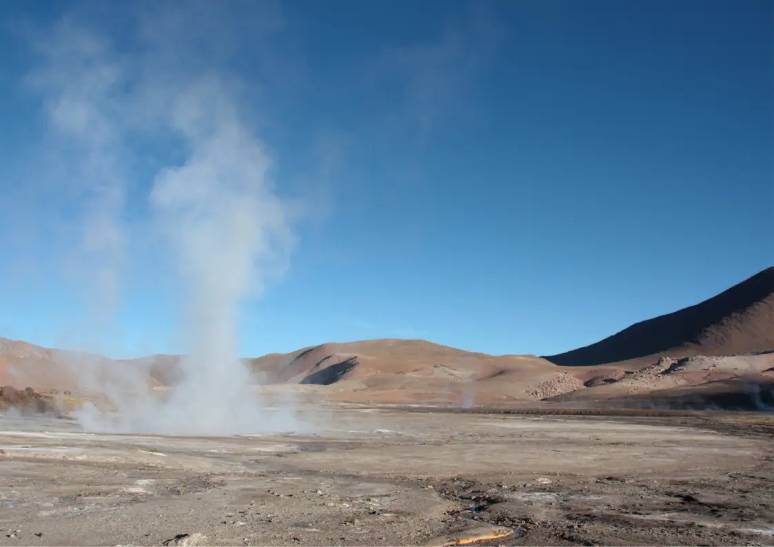 Geysers del Tatio Wildlife