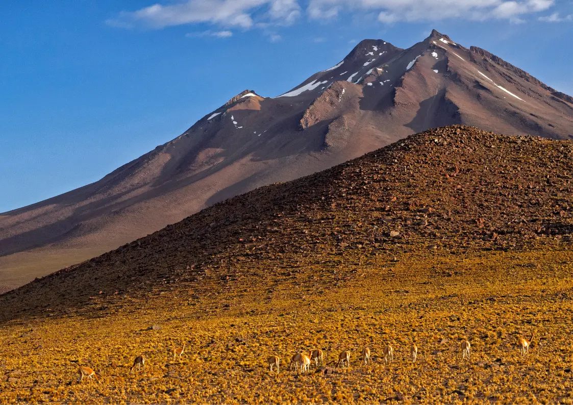 Ruta de los Salares Landscape