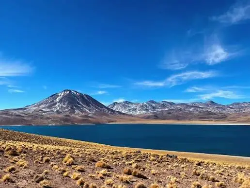 Laguna Cejar